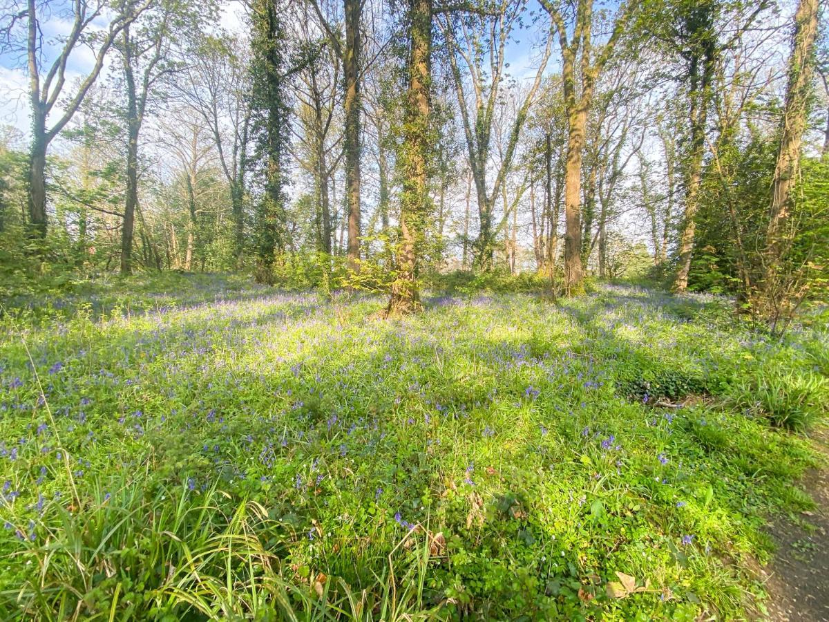 Little Willow Bank - 1 Bed Luxury Apartment Between Salisbury And The New Forest Екстериор снимка
